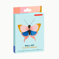 Studio Roof Gold Rim Butterfly Paper Wall Decoration