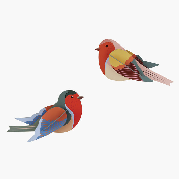 Robins Garden Birds Paper Wall Decoration from Stuido ROOF