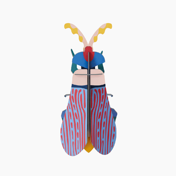 Studio Roof Striped Wing Beetle Paper Wall Decoration
