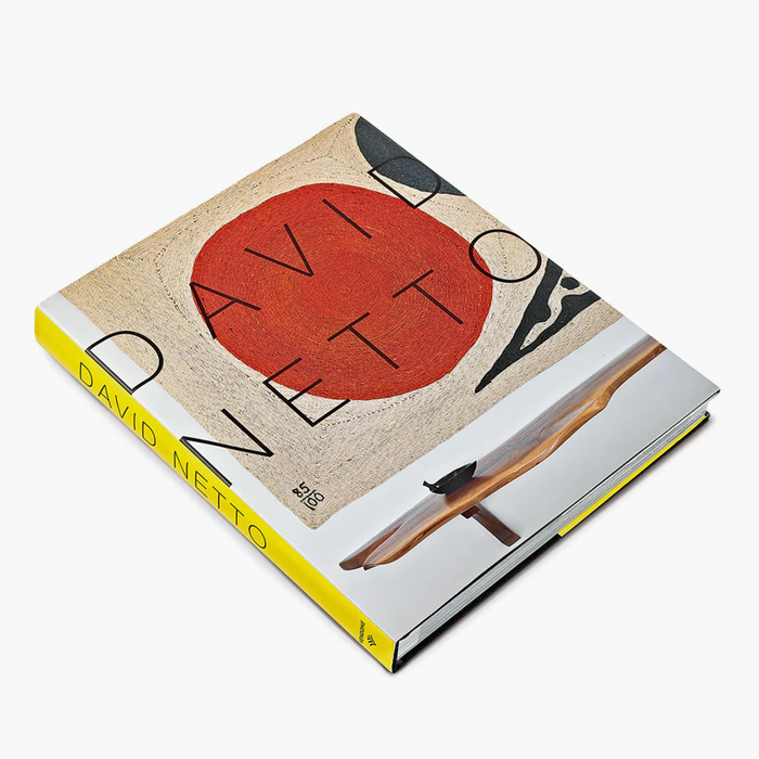 DAVID NETTO Interior Design Book