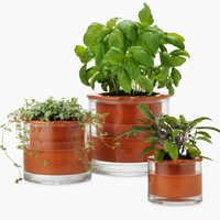Self-Watering Pot - Small - from Wet Pots