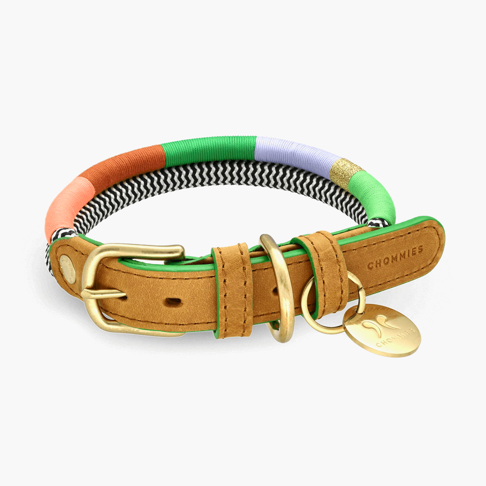 Leather rope collar best sale