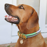 Chommies Adjustable Leather + Rope Dog Collar - Multicolor Spring