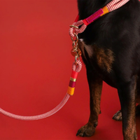 Chommies Everyday Red Rope Dog Leash - Candy Cane