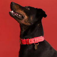 Chommies Adjustable Red Leather + Rope Dog Collar - Candy Cane