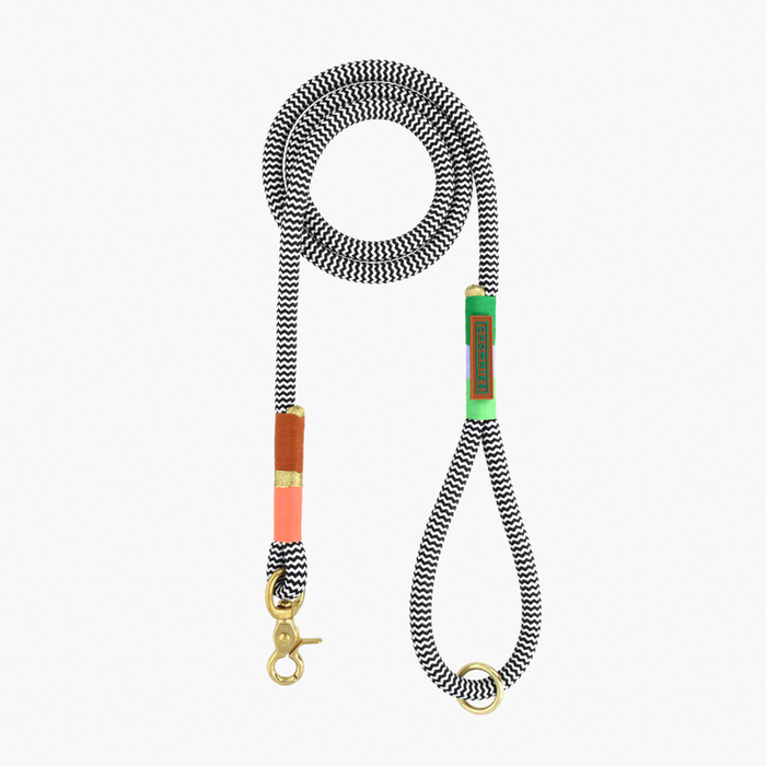 Chommies Everyday Rope Dog Leash - Multicolor Spring