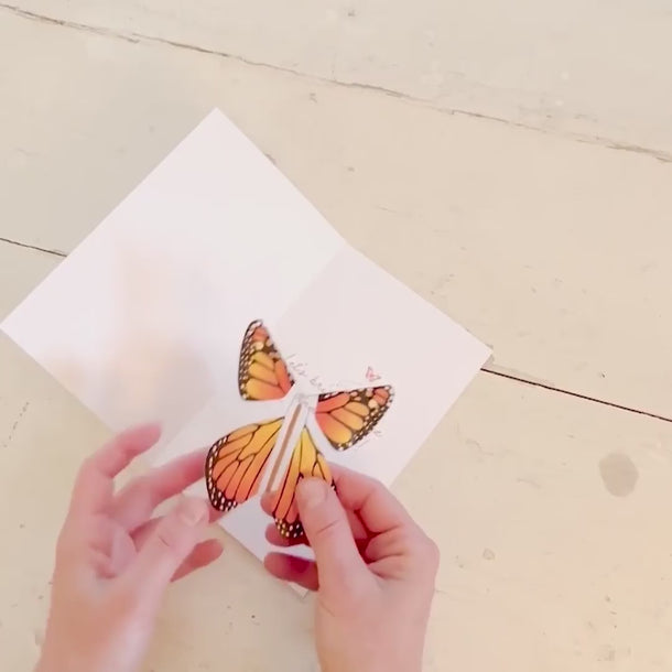 Flying Magic Butterfly® from Tops Malibu