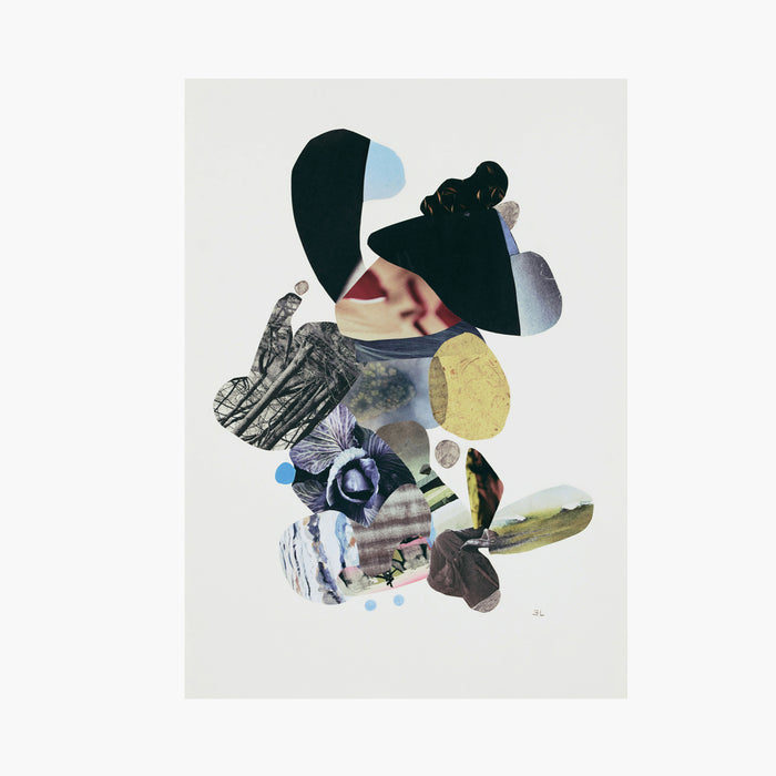 COLLAGE No. 01 by Emma Larsson Limited print from BLU KAT