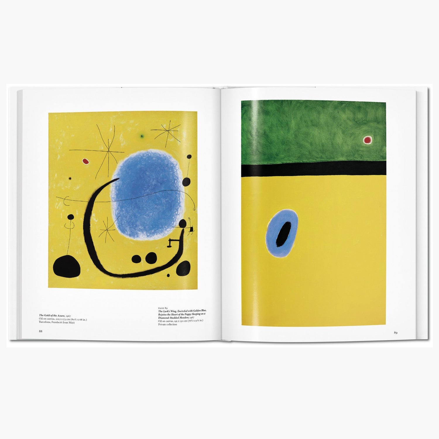 Taschen Miro Book – Basic Art Series