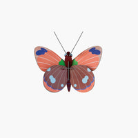 Delias Butterfly Wall Decoration by ROOF.