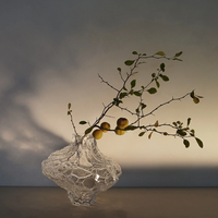 Hein Studio Large Canyon Clear Glass Vase