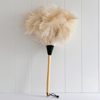 Ostrich Feather Fringe for Sale Online