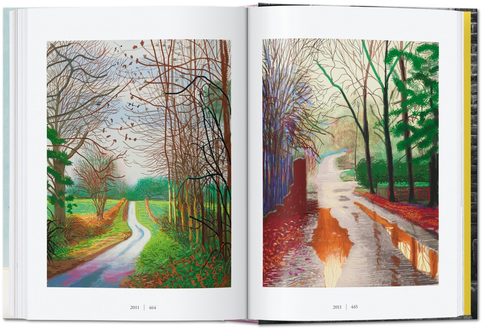 David Hockney - A Chronology - 40th Anniversary Edition