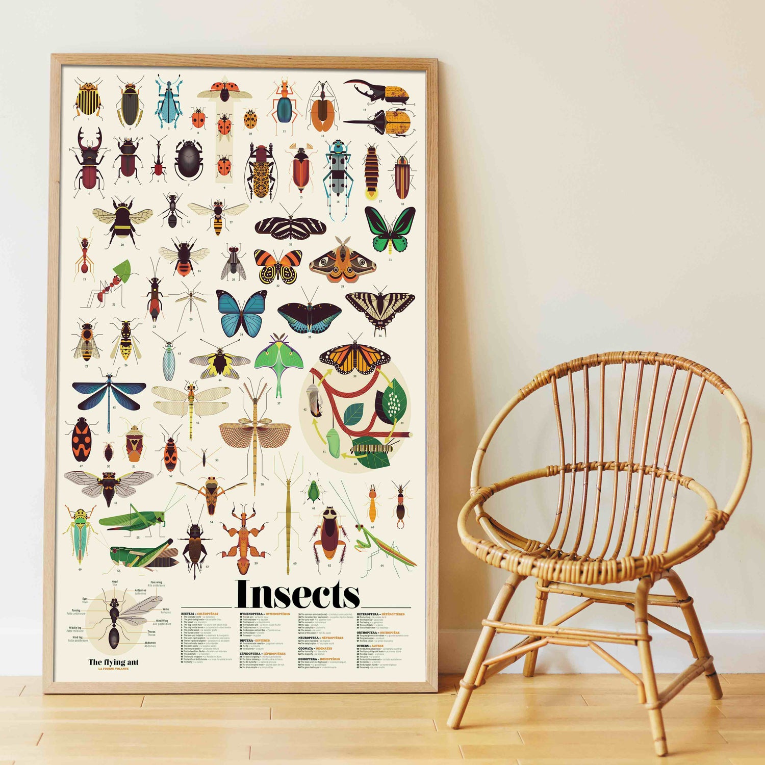 INSECTS Educational Sticker Poster + 44 stickers